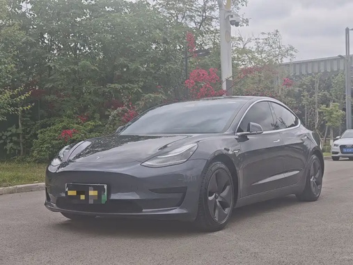 Tesla Model 3 2020