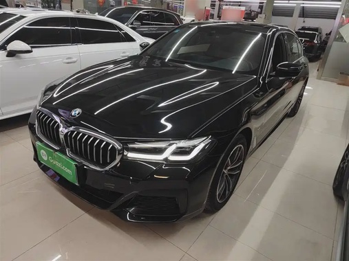 BMW 5 Series 2021