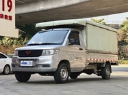 Wuling New Truck 2020