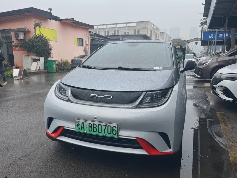 BYD Dolphin