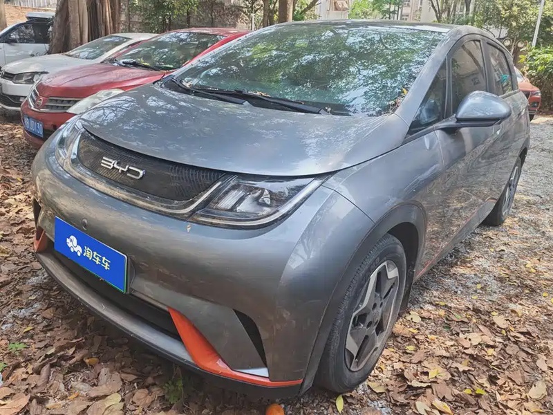 BYD Dolphin