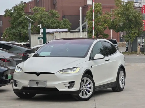 Tesla Model X 2019