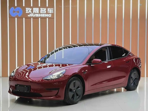 Tesla Model 3 2021