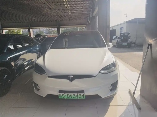 Tesla Model X 2019