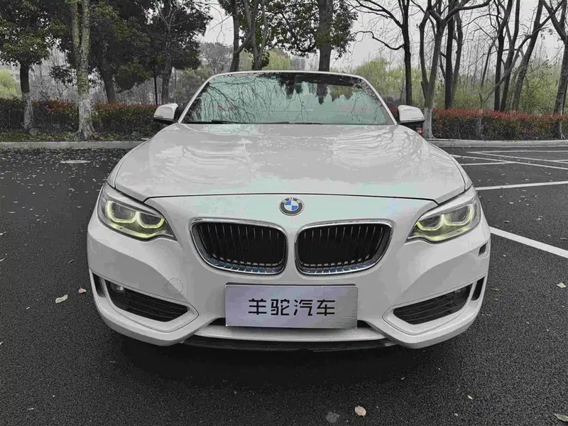 BMW 2 Series