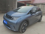 BYD Dolphin 2024