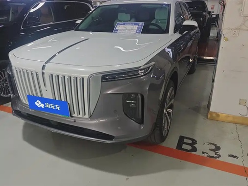Hongqi E-HS9 2021