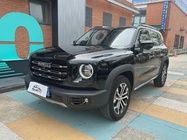 Haval Big Dog 2022