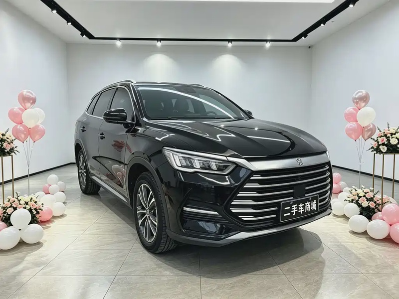 BYD Pro