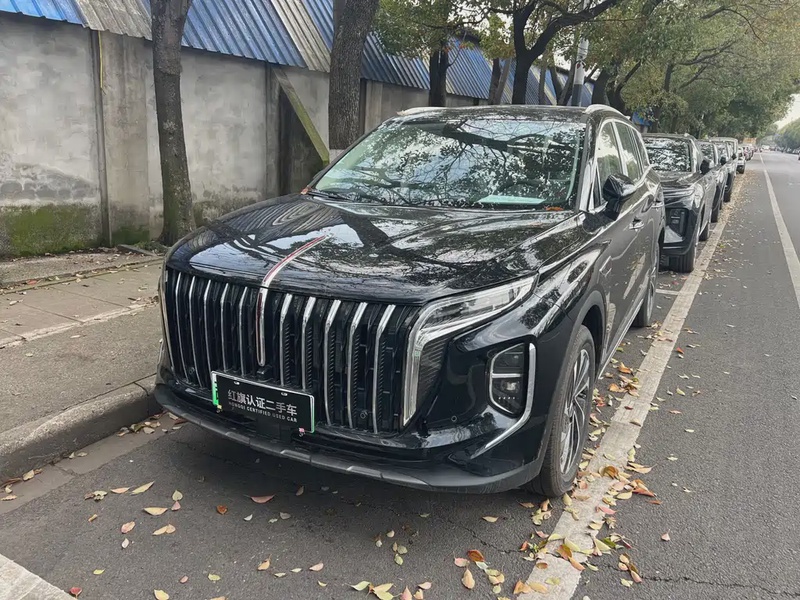 Hongqi HS7