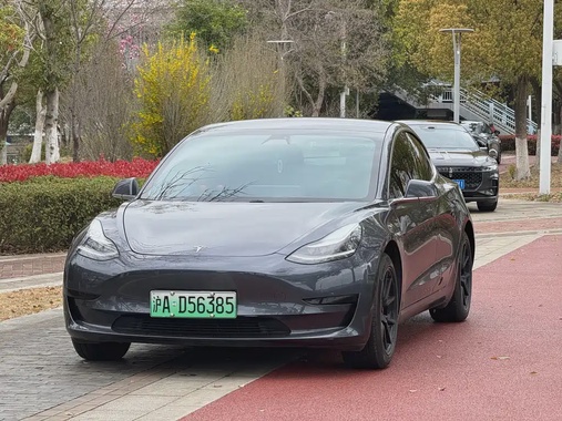 Tesla Model 3 2020