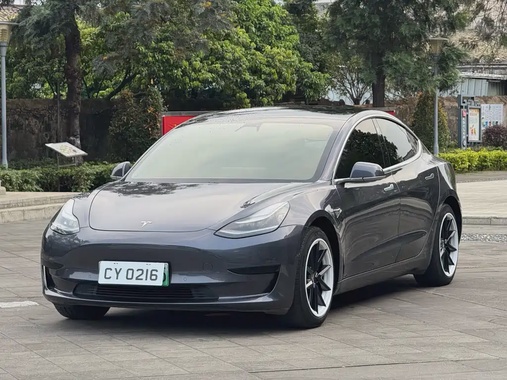 Tesla Model 3 2020