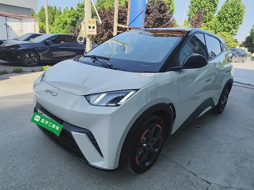 BYD Seagull 2024