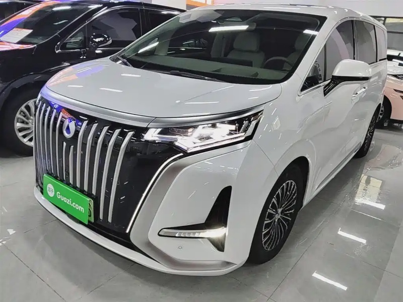 Denza D9