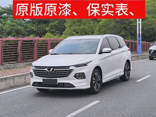 Wuling Victory 2022