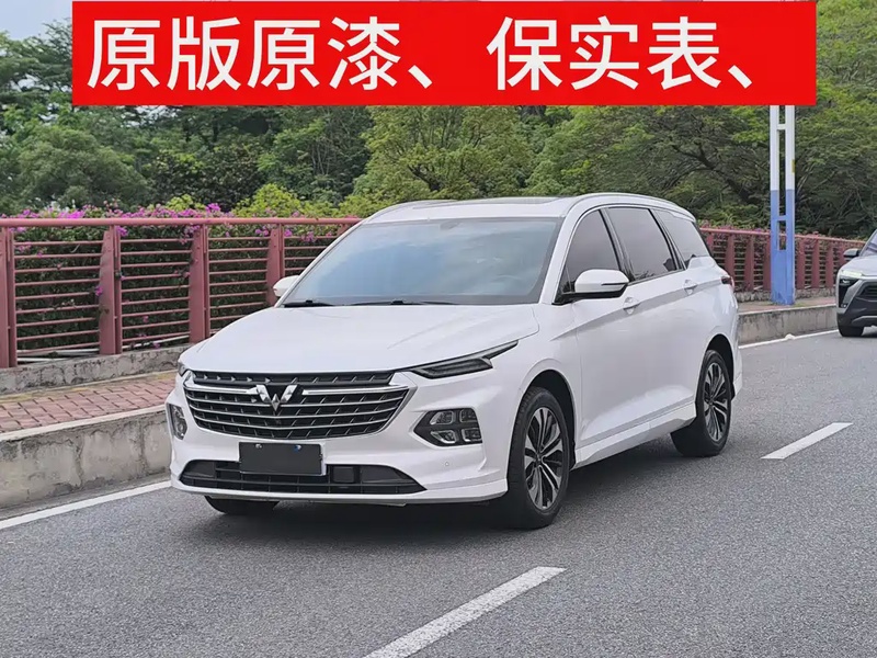 Wuling Victory