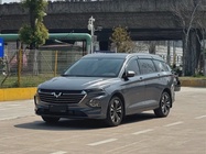 Wuling Victory 2021
