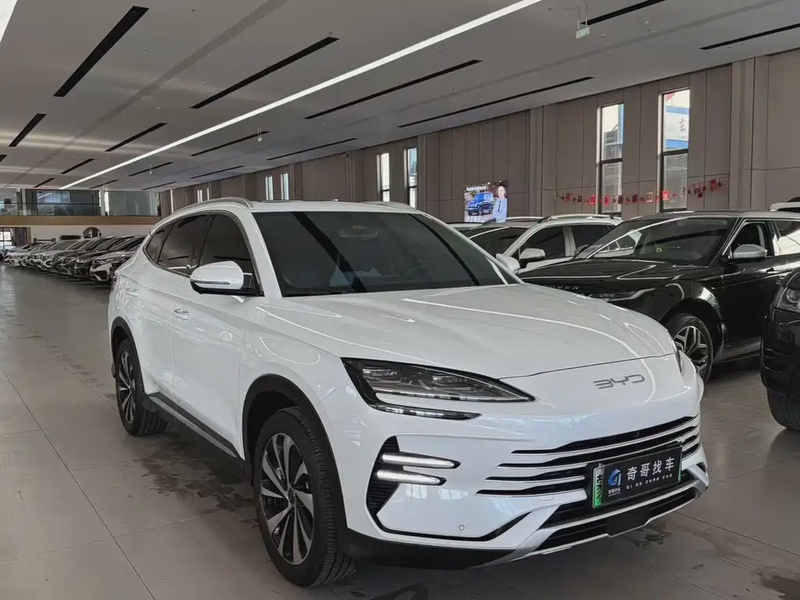 BYD PLUS