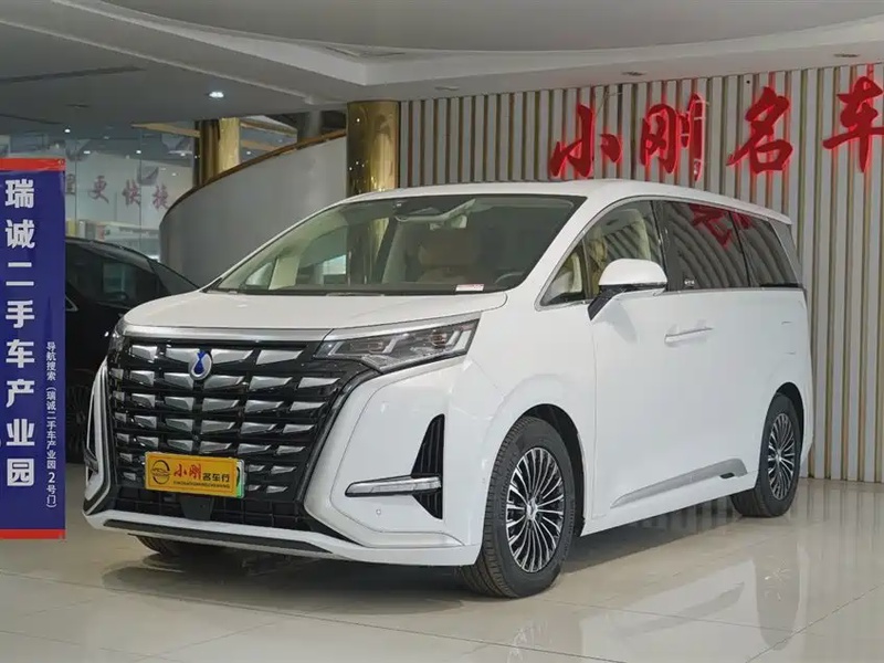 Denza D9