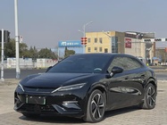BYD L 2024