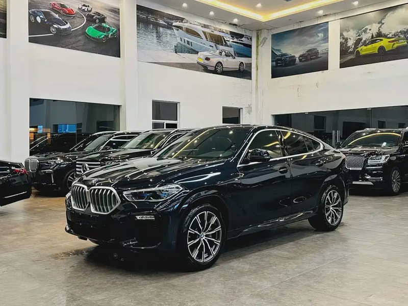 BMW X6