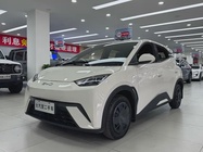 BYD Seagull 2024