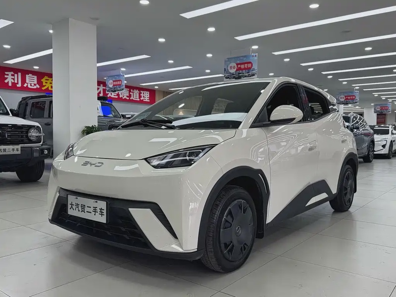 BYD Seagull