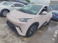 BYD Seagull 2024