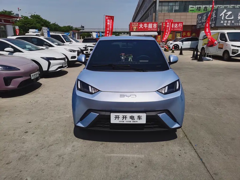 BYD Seagull