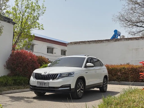 Skoda Kamiq 2019
