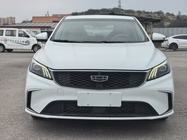 Geely Binrui 2021