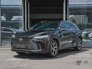 Lexus RX 2025
