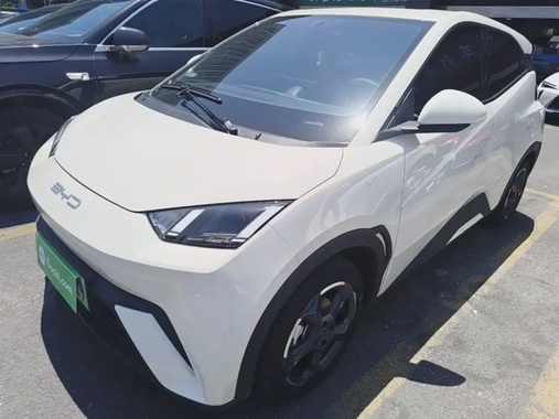 BYD Seagull 2024