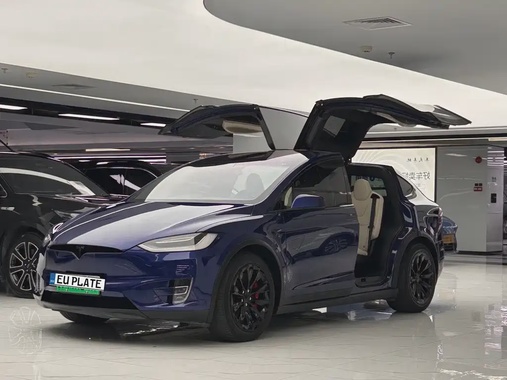 Tesla Model X 2021