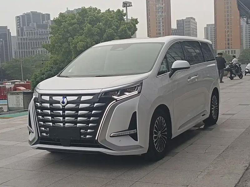 Denza D9