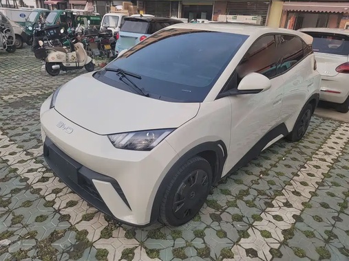 BYD Seagull 2024