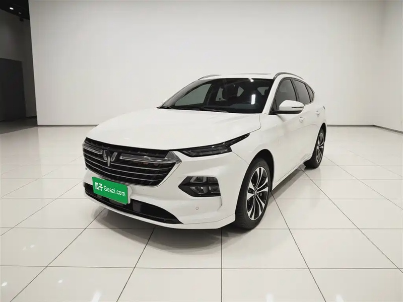 Wuling Victory