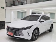 BYD Destroyer 2024