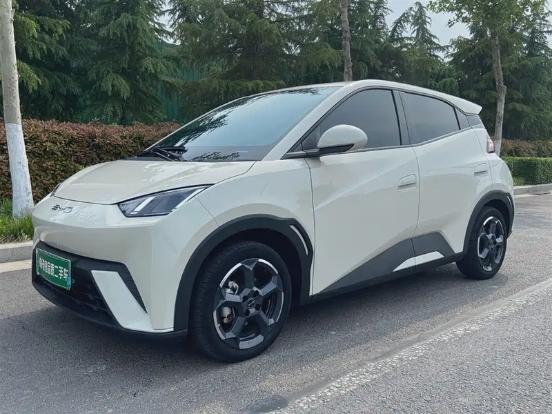 BYD Seagull