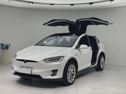 Tesla Model X 2020