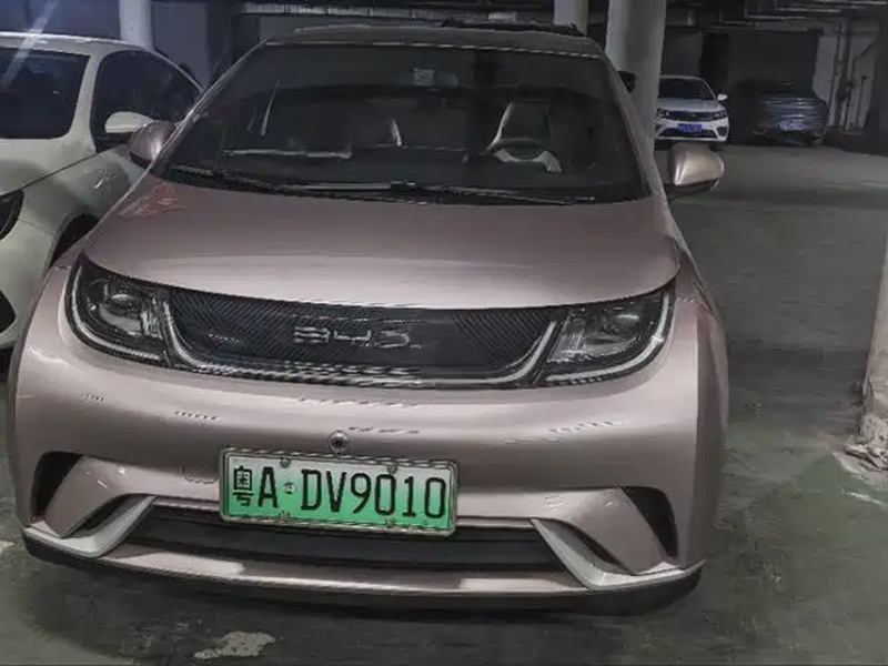 BYD Dolphin