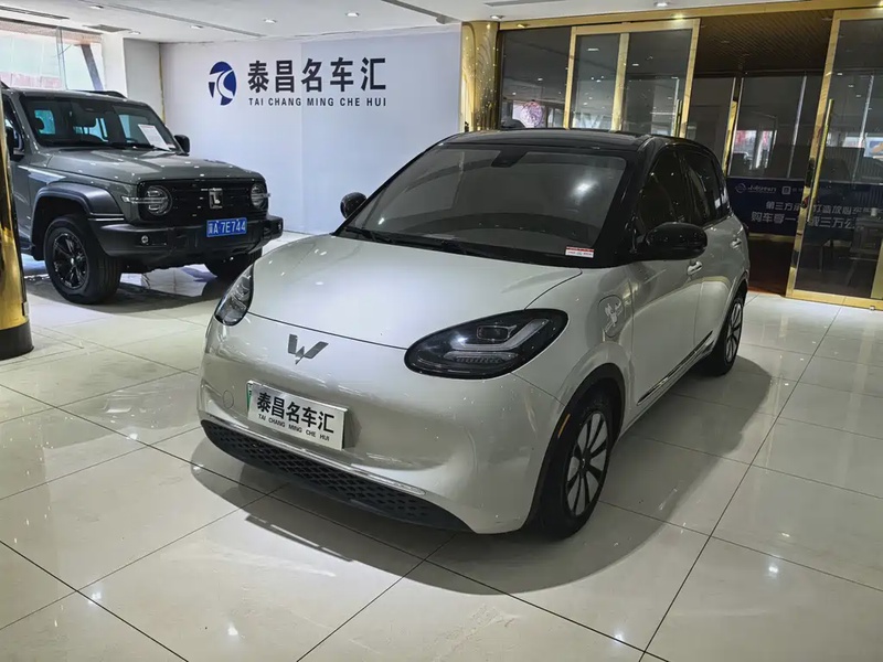 Wuling Bingo