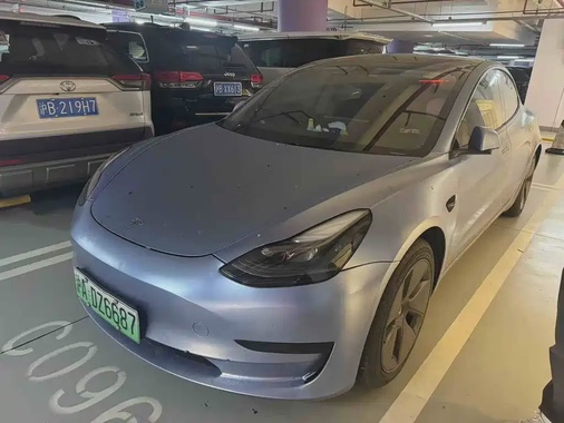 Tesla Model 3 2021