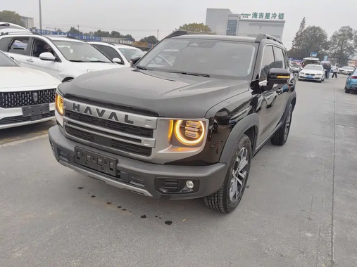 Haval Big Dog 2024