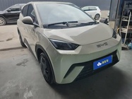 BYD Seagull 2024
