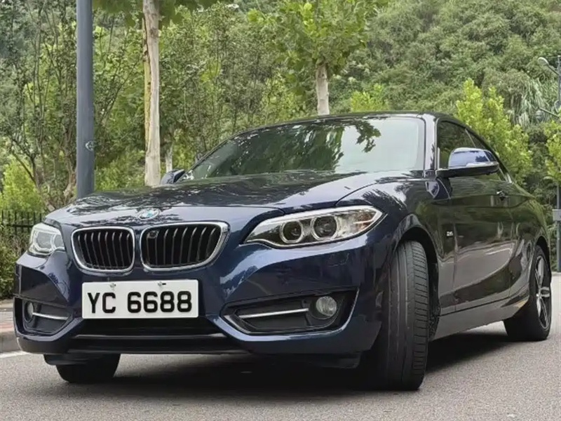 BMW 2 Series