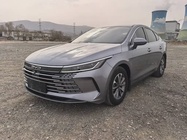 BYD Destroyer 2024