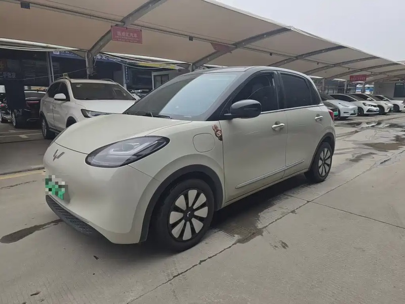 Wuling Bingo