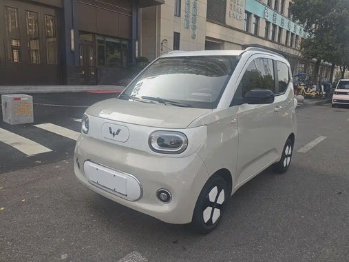 Wuling Mini 2024