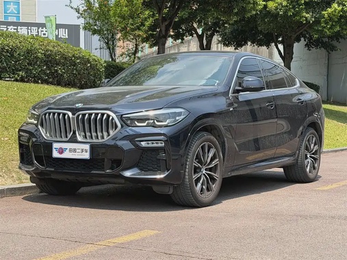BMW X6 2021